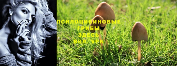 дживик Новодвинск