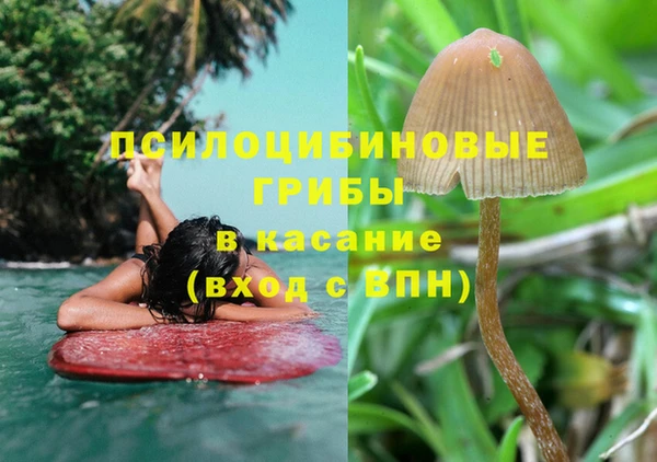 экстази Нязепетровск