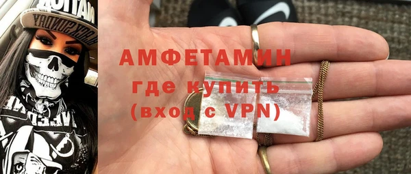 сатива Новокубанск