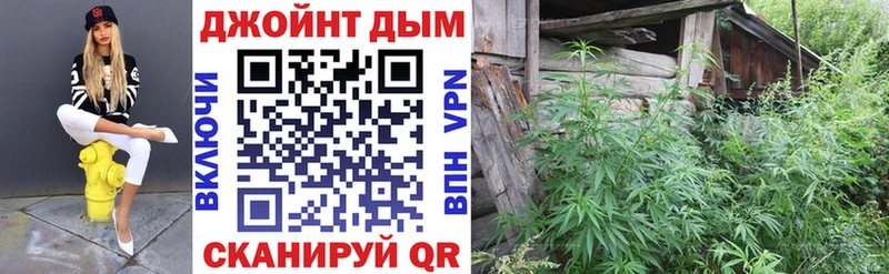 дарнет шоп  Красновишерск  Бошки марихуана сатива 